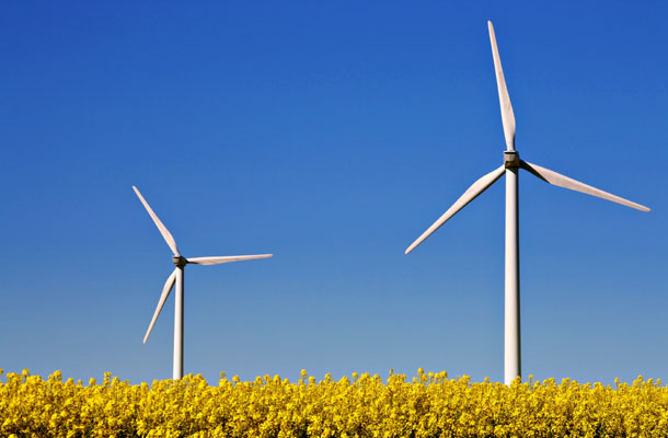 wind_02[1].jpg